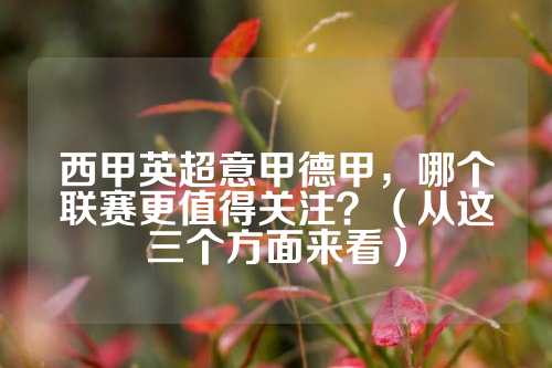 迷来说