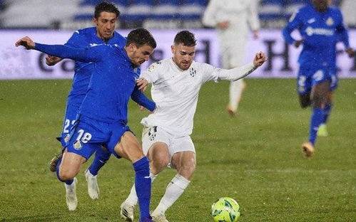 为篮球界树 为篮球界树